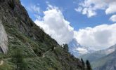 IMG_9924.jpg