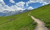 IMG_6981.JPG