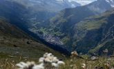 IMG_5855.JPG