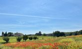 IMG_E1713.jpg