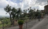 IMG_20190612_174308.JPG