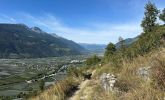 IMG_7750.JPG