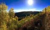 IMG_E2246.jpg