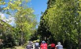 IMG_20190517_124943.JPG