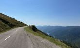 IMG_7281.JPG